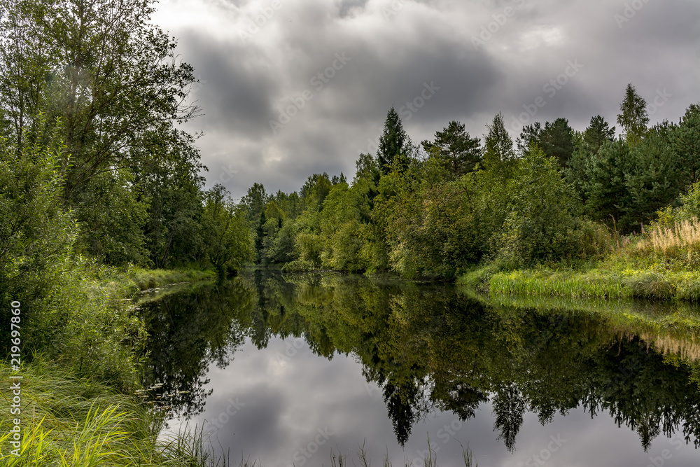 Summer morning on the banks of the river mga in the Leningrad region.