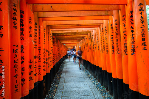 path across red toriis in japan