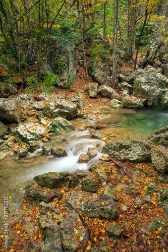 Mountain river in forest. Beautiful autumn landscape.