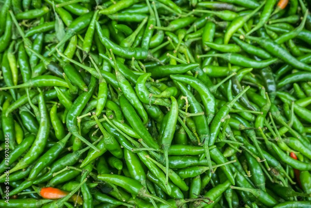 Green chilli Pattern Green chilli Pattern