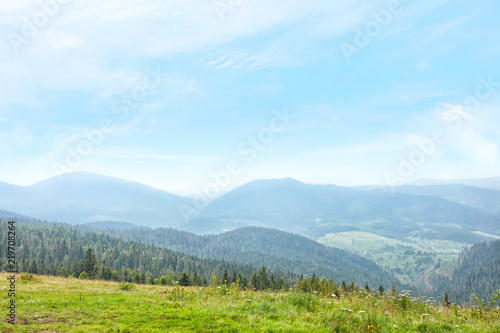 Fototapeta Naklejka Na Ścianę i Meble -  Picturesque landscape with mountain forest