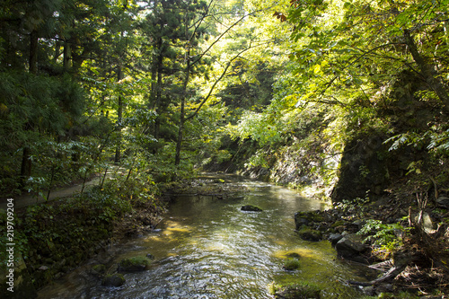 花巻温泉　釜淵の滝　散策路から見る瀬川