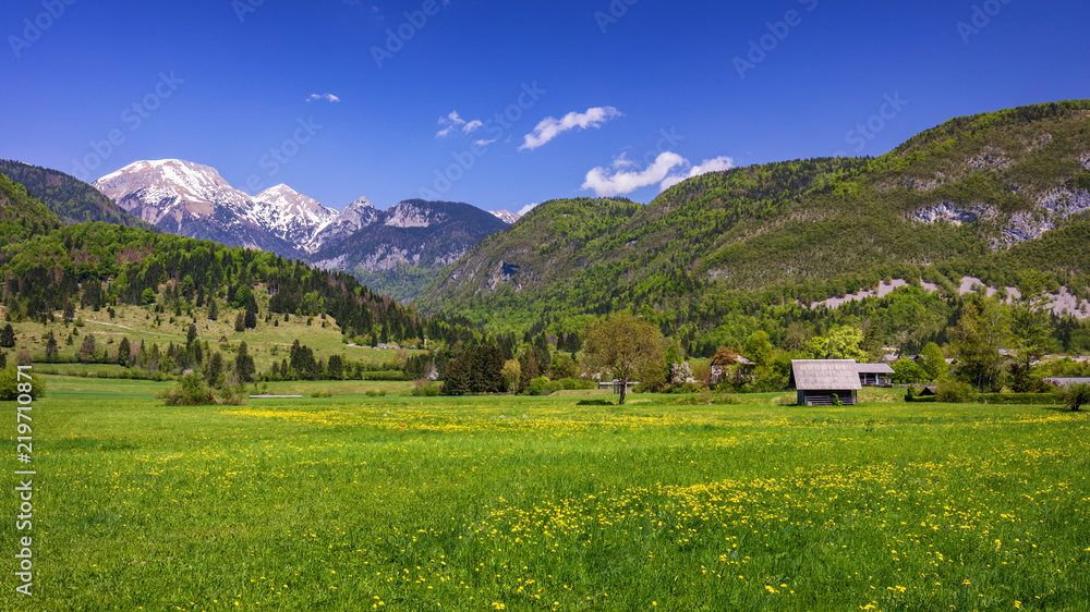 Landscape view of one wooden rural cottage on green meadow surrounded with green forest. Summer in Bohinj, Stara Fuzina, Slovenia,Europe.