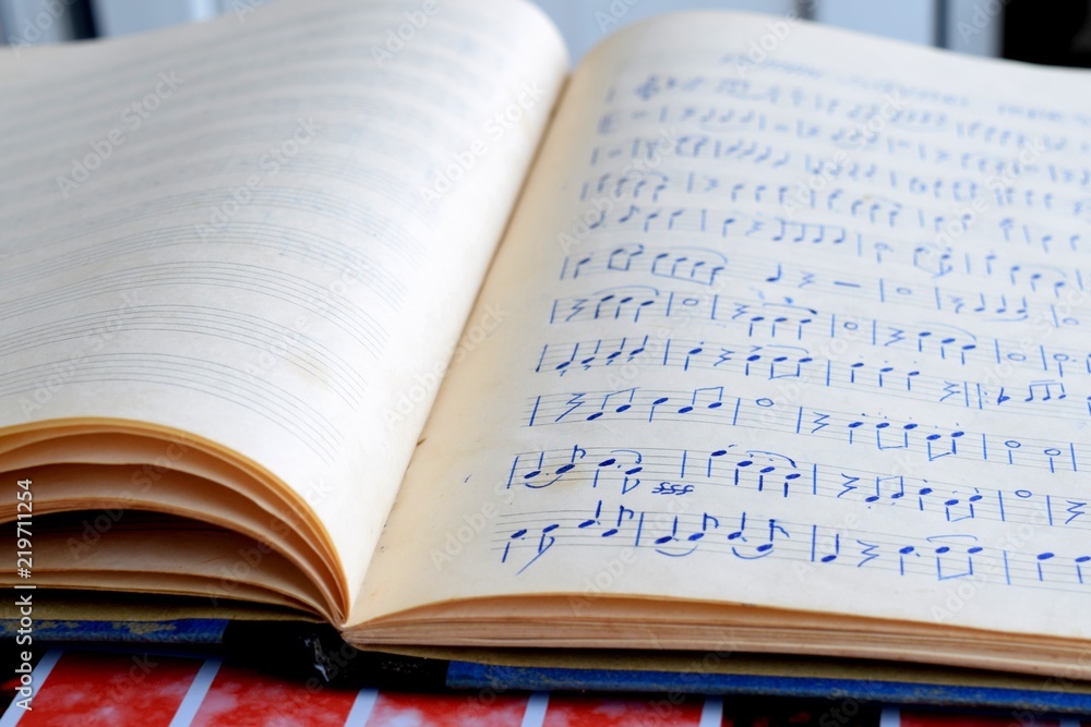 Obraz premium Müzik defteri