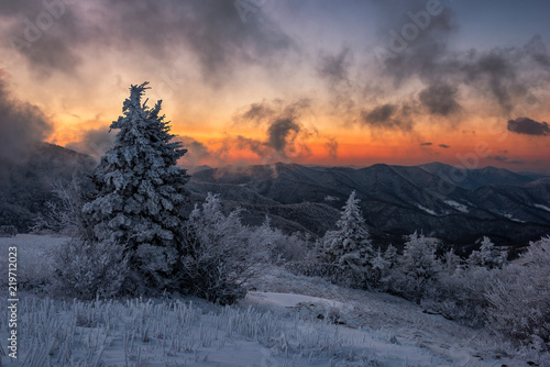 Morning light on a frozen landscape, Appalachian Trail, Tennessee