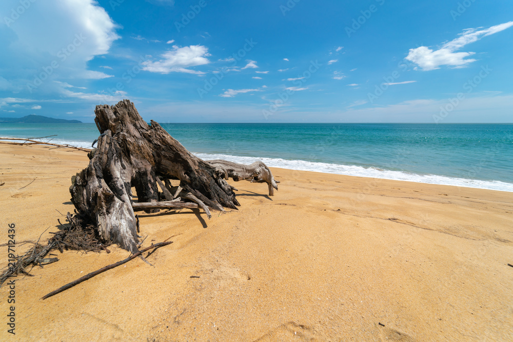 Text Space blue sky sea shore beach with wood