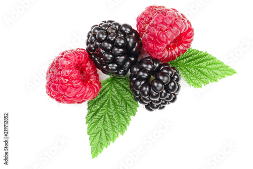 Cuadro en lienzo blackberry and raspberry with leaves isolated on white background