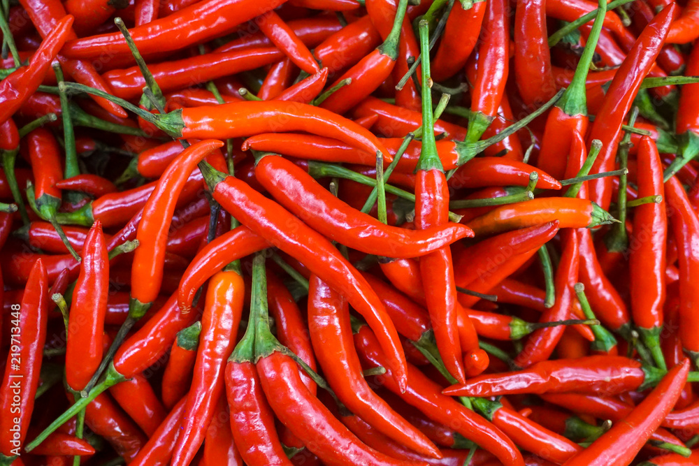 Hot Red chilli pattern Hot Red chilli pattern