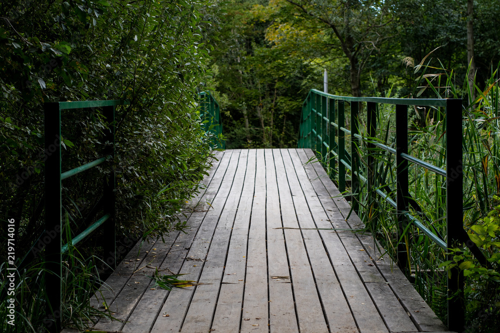 Bridge across the river in the forest. Autumnal scenery in the park.