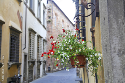 Fototapeta Naklejka Na Ścianę i Meble -  Italy Lucca