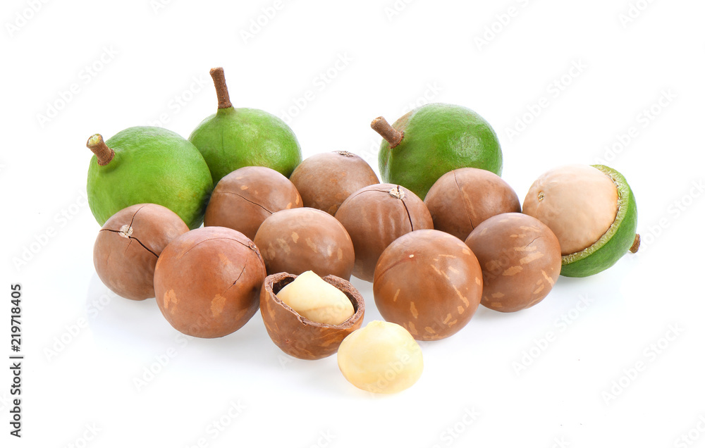 macadamia nuts isolated on white background. macadamia nuts isolated on white background.