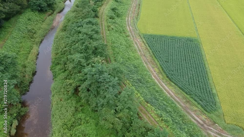 秋の田園風景 空撮 移動撮影 水田と川 秋田県 秋の田園風景 空撮 移動撮影 水田と川 秋田県