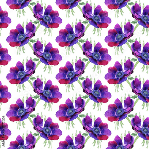  Beautiful purple flower. The full name of the flower is Anemone. Seamless background.
