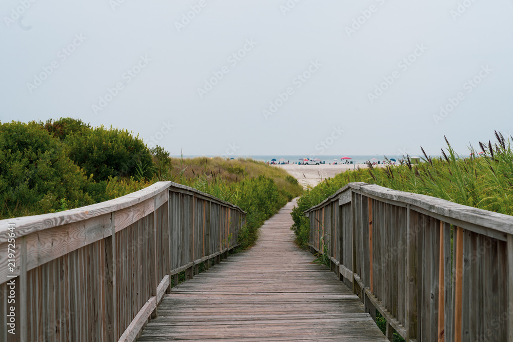 Wooden Beach Walkway with Plants Surrounding at Wildwood New Jersey Vacation Destination.