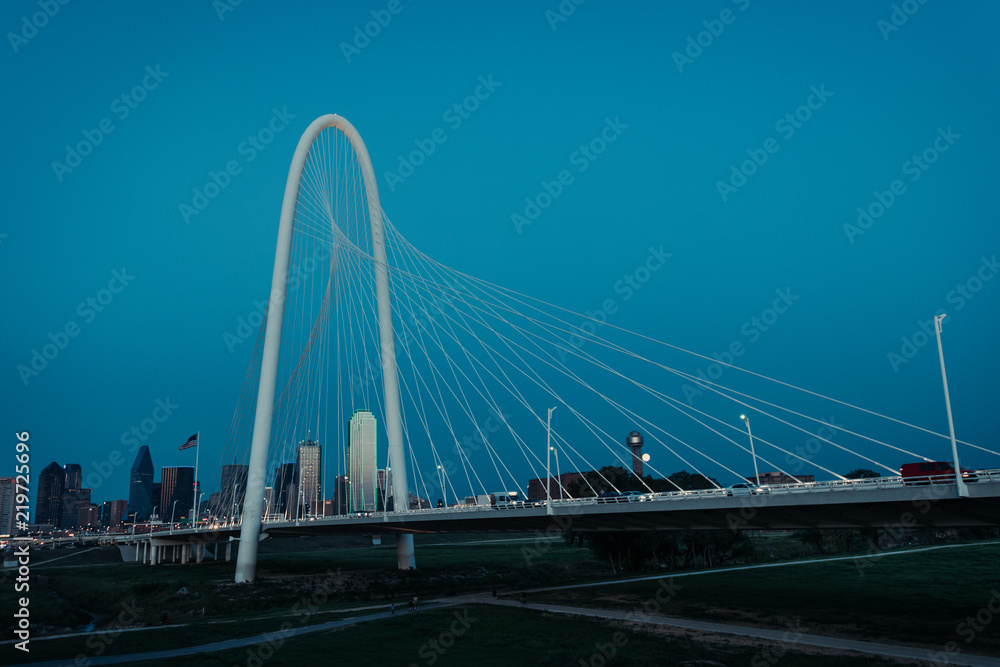 Fototapeta premium Dallas Skyline