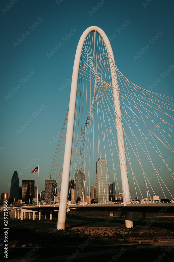 Obraz premium Dallas Skyline