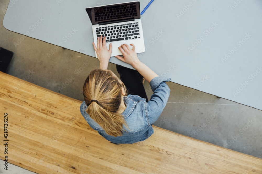 Blonde Student in Her Twenties Doing Homework on Computer Blonde Student in Her Twenties Doing Homework on Computer