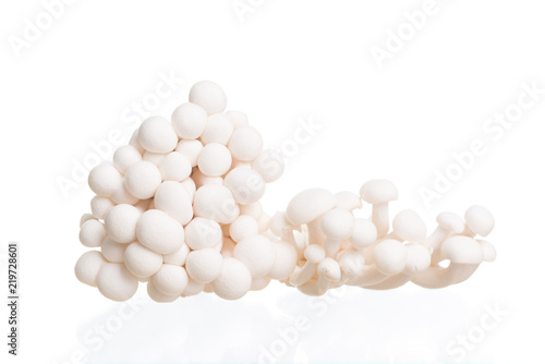 White beech mushrooms or Shimeji mushroom on white background