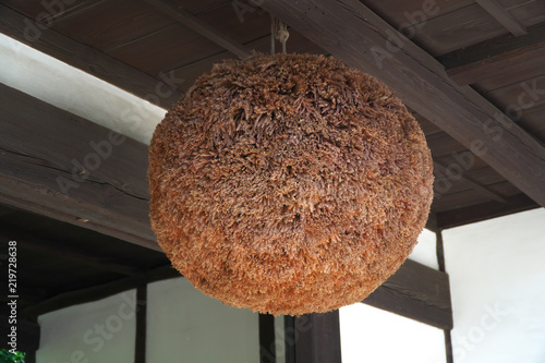 Tokyo,Japan-August 26, 2018:　Sugidama or a ball made from sprigs of Japanese cedar, typical ornament at sake breweries photo