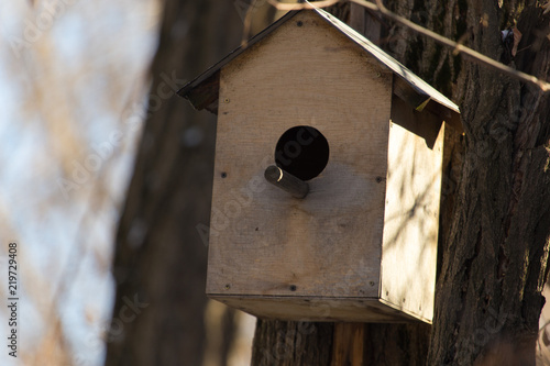 Wooden birdhouse hanging on a tree