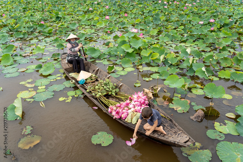 Vietnamese boy playing with mom boating the traditional wooden boat for keep the pink lotus in the big lake at thap muoi, dong thap province, vietnam, culture and life concept