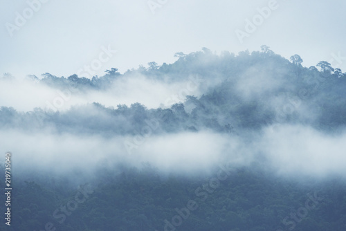 landscape view of forest in Thailand, tropical forest © chokniti