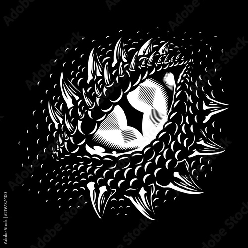 Monochrome dragon eye