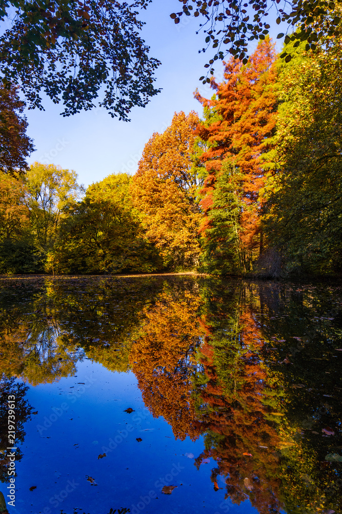 Wonderful Landscape. Colorful Autumn scene Wonderful Landscape. Colorful Autumn scene
