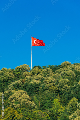 Bild auf Leinwand Turkey Flag Flying Over Forest