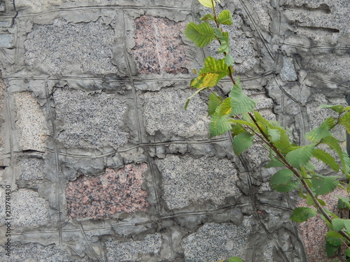 Gray wall of coarse stone and cement