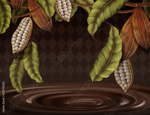 Cacao plant background