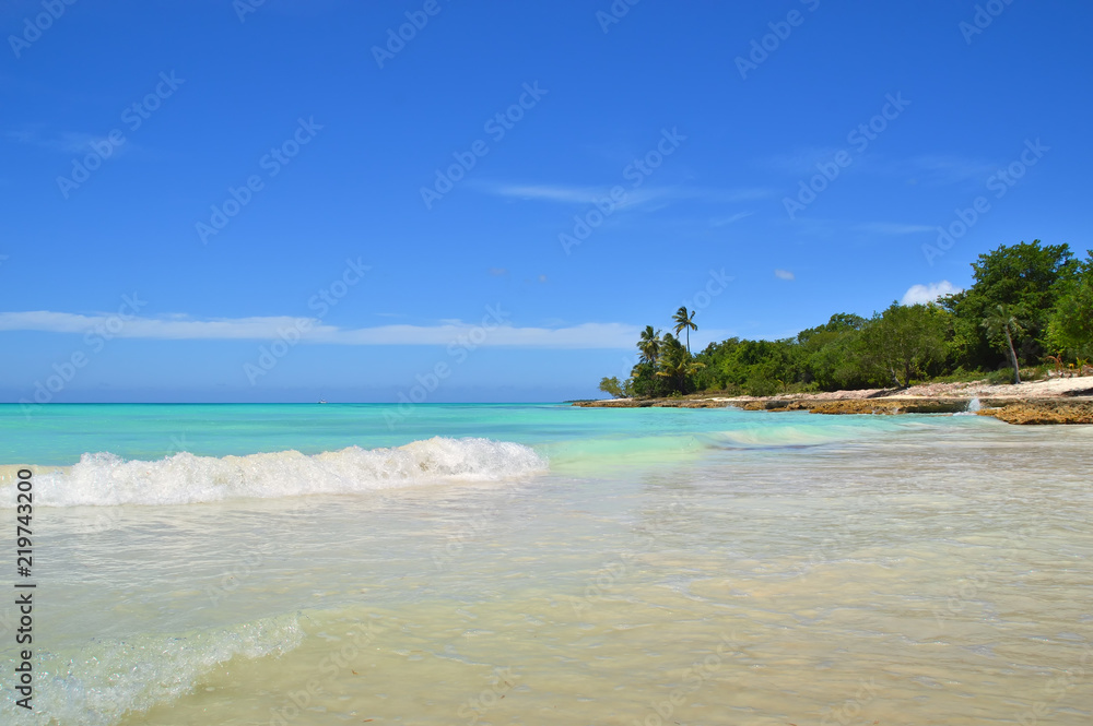 plot of the beach, coastline of the Caribbean Sea, beautiful azure sea, green tropical vegetation, against the blue sky