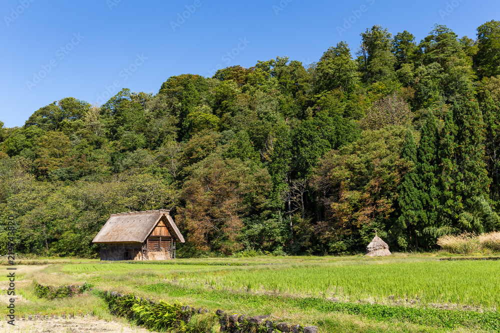 Wooden old house in Shirakawago