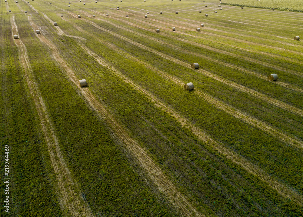 Aerial view of a green field with round haystacks. Wastes from agro-industry. Feed for livestock. Pattern Aerial view of a green field with round haystacks. Wastes from agro-industry. Feed for livestock. Pattern