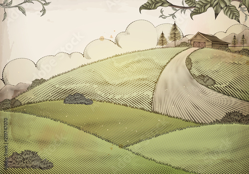 Engraving style farm background