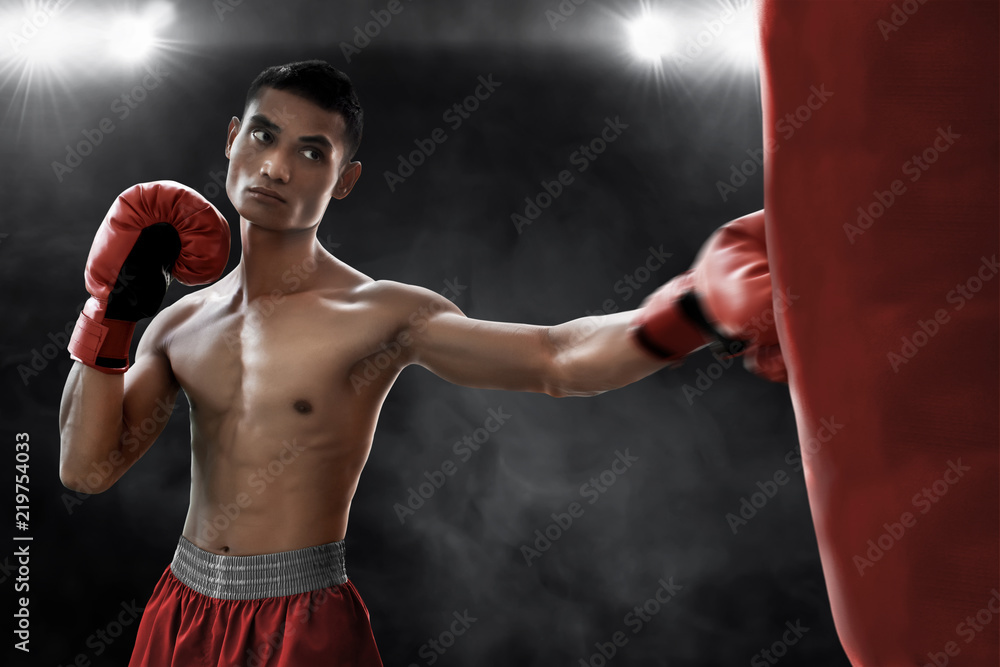 Boxer training with punching bag
