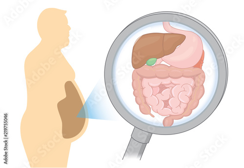Zoom in internal organ about digestion of Fat man with Magnifying glass. Illustration about health care and medical.
