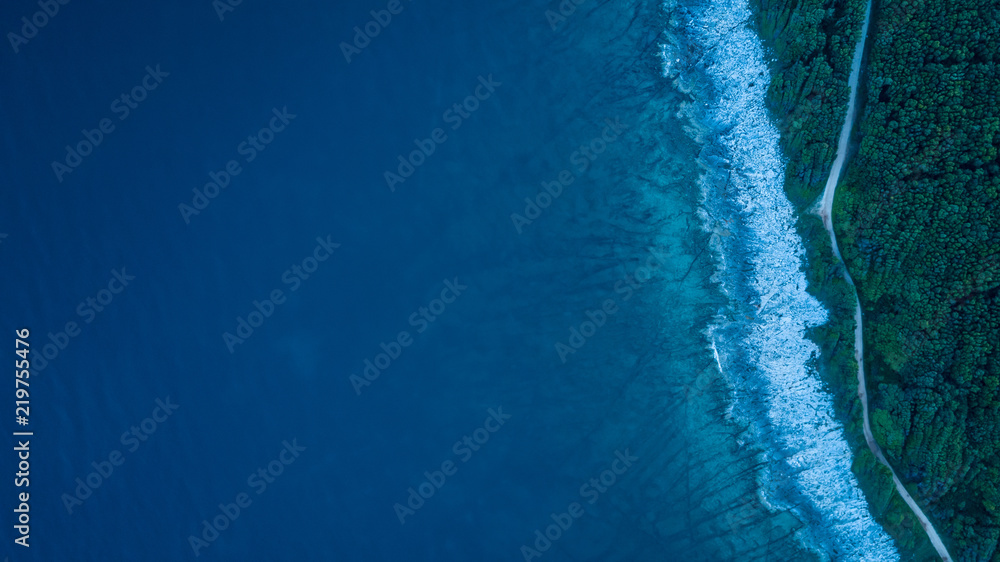 Coastline view from the drone, green forest and rocky coast