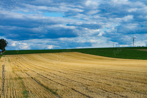 harvested fields in the late summer blue sky in Rheinhessen rhineland-palatinate