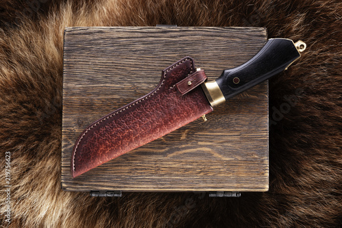 Fotografija Knife on a bbox