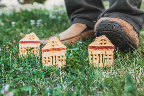 Fototapeta Naklejka Na Ścianę i Meble -  Cookies in shape of small house stand on green grass