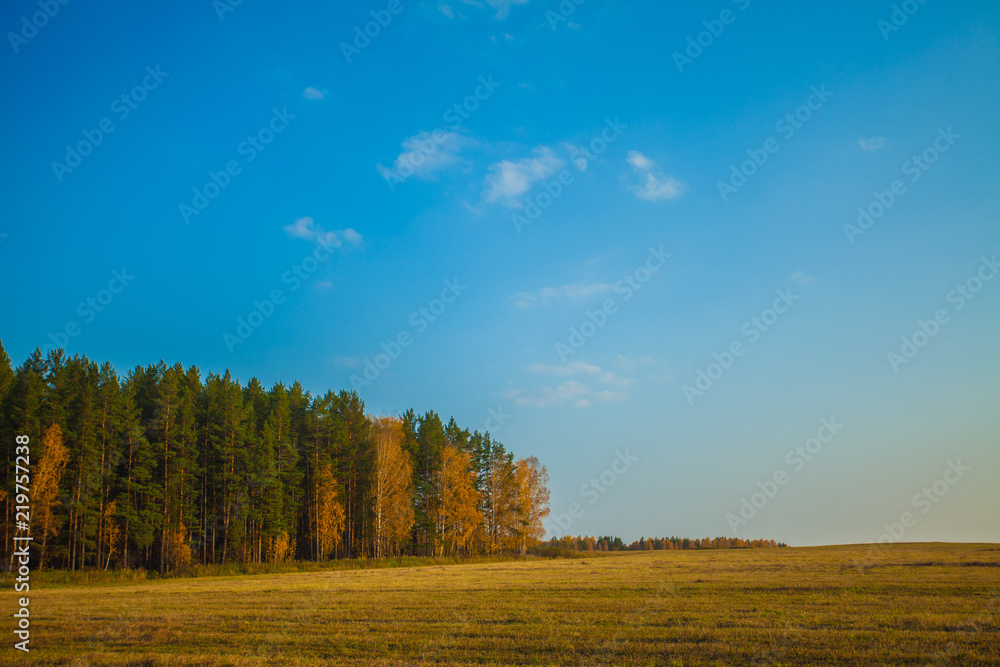 Naklejka premium Красная горка