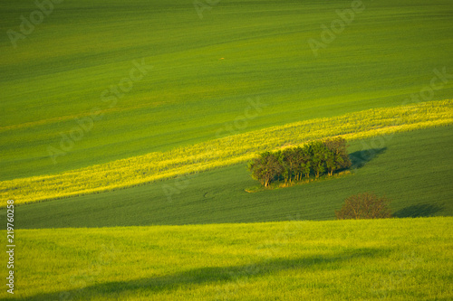 Moravian fields near Sardice, Hodonin, Czech Republic photo