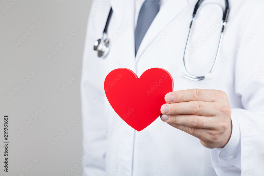 Doctor cardiologist holding a heart in his hands. Cardiology and heart disease concept. Doctor cardiologist holding a heart in his hands. Cardiology and heart disease concept.