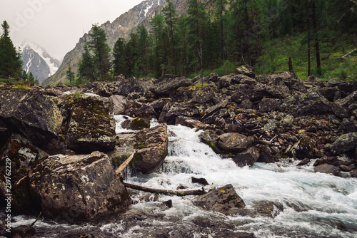 Fast water stream from glacier in wild mountain creek with big wet stones in terrain of Shavlinsky Lakes in Altai. Landscape with forest and snowy mountains on background. photo