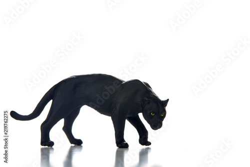 Black panther portrait  white background