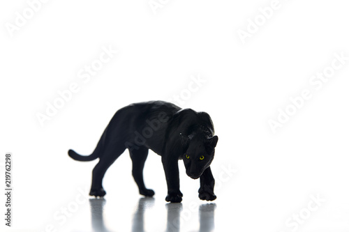 Black panther portrait  white background