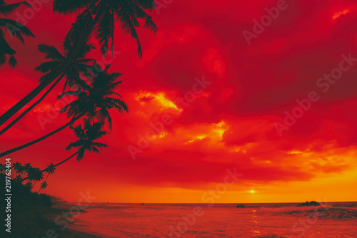 Fototapeta Naklejka Na Ścianę i Meble -  Tropical sunset island beach palm tree silhouettes