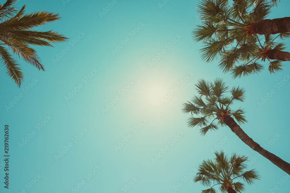 Fototapeta premium Palm trees vintage color toned summer hot day perspective view with copy space