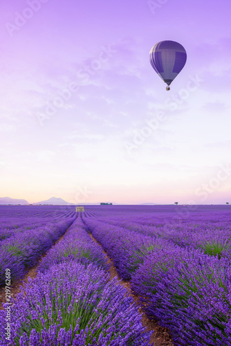 Lavender field Provance France at sunrise. Infinite blossoming lavender bushes rows to the horizon with hot air baloon.